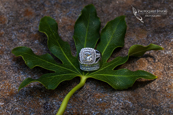 Wedding-Photographer-in-Temecula-document-Pala-Mesa-Resort-Wedding