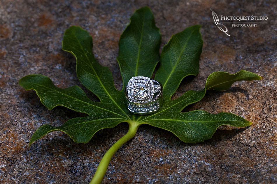 Wedding-Photographer-in-Temecula-document-Pala-Mesa-Resort-Wedding