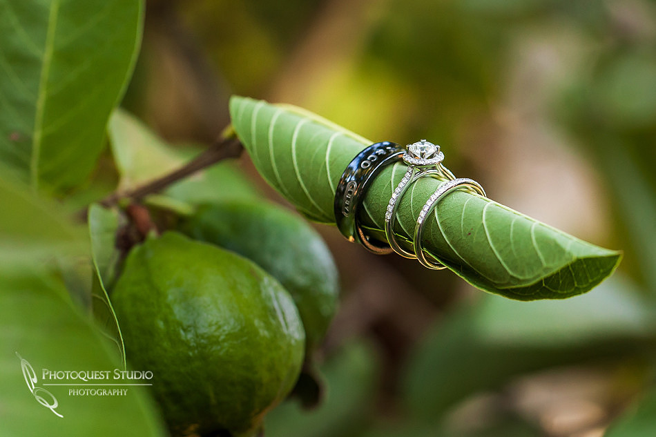 Riverside-Wedding-Photographer-Crestmore-Manor-Wedding-Paracel-Seafood-Wedding-Temecula-Wedding