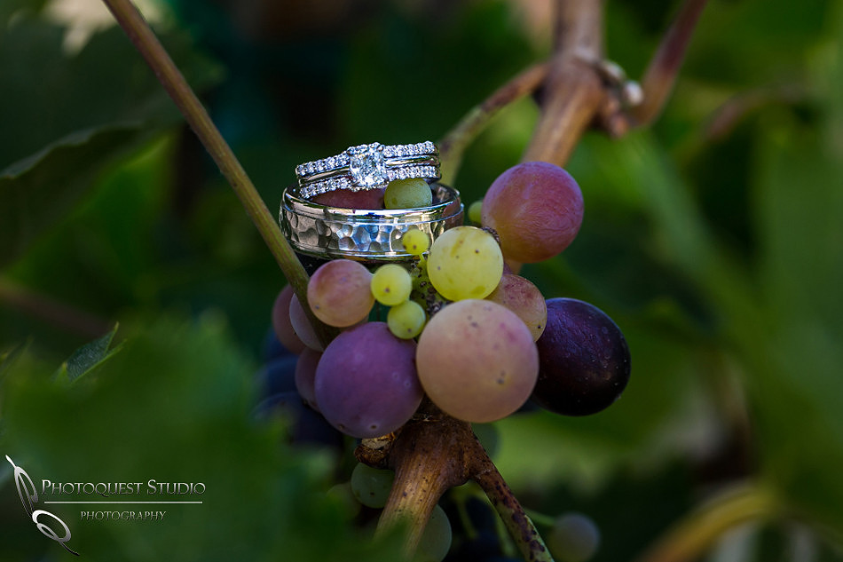 Wedding-Photographer-in-Temecula-at-Wiens-Family-Cellars-Winery