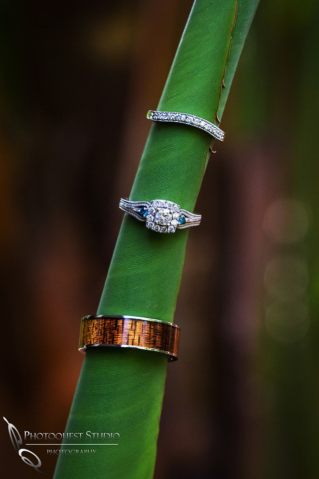 Wedding-photos-at-Grand-Tradition-Estate-Fallbrook-by-Wedding-Photographer-in-Temecula