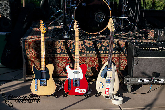 Temecula Wedding Photographer, Concert Photographer at Wiens Family Cellars Winery, The English Beat