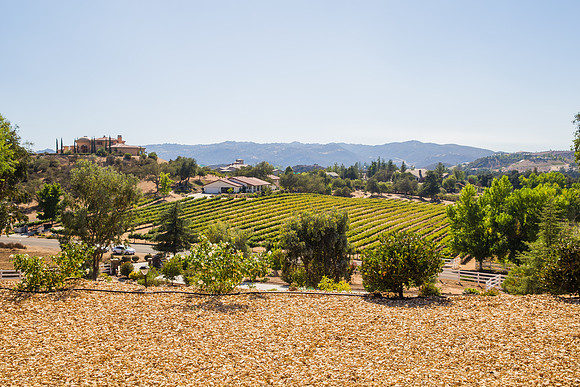 Temecula Wedding Photographer at Private Residence Wedding in La Cresta, Shae & Justin-15