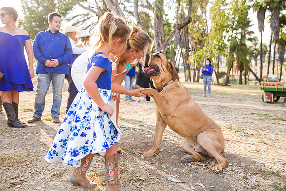 Micro Wedding by Wedding Photographer in Temecula, Rachel & Scott-302