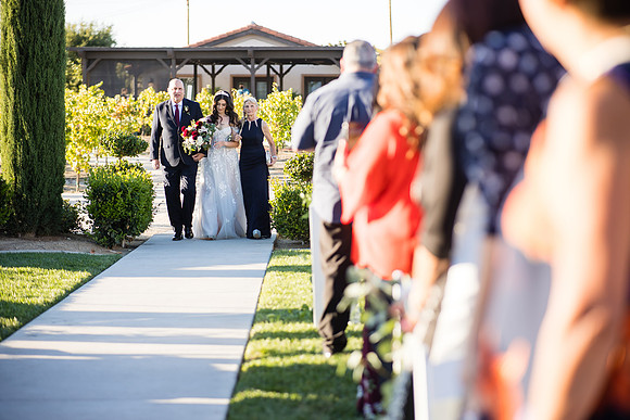 Temecula Wedding Photographer at Avensole Winery, Haley & Tristian-391