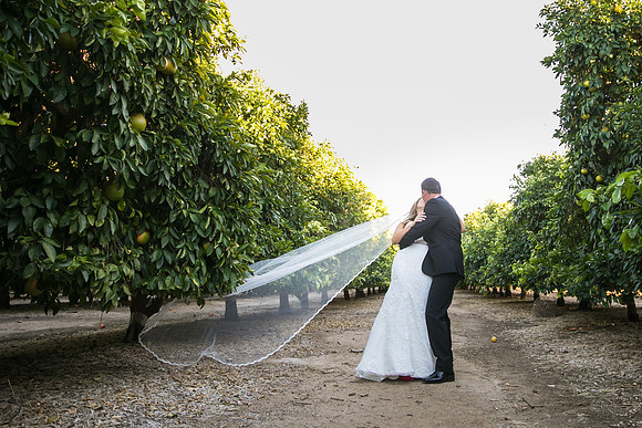 Beautiful wedding at Wiens Family Cellars Temecula Winery - Sarah & Shawn