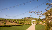 Temecula Winery Wedding Photographer, Rehearsal Dinner at Europa Village, Fabiona & Scott-2