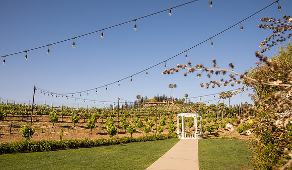 Temecula Winery Wedding Photographer, Rehearsal Dinner at Europa Village, Fabiona & Scott-2