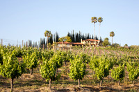 Temecula Winery Wedding Photographer, Rehearsal Dinner at Europa Village, Fabiona & Scott-6