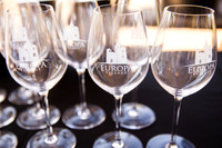 Temecula Winery Wedding Photographer, Rehearsal Dinner at Europa Village, Fabiona & Scott-11