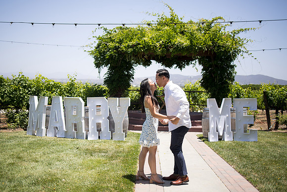 nina les orange county wedding photographer lorimar temecula winery surprise proposal-64