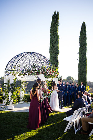 Temecula Wedding Photographer at Avensole Winery, Haley & Tristian-413