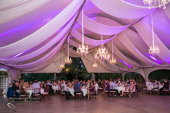 Pala Mesa Resort Wedding Photo
