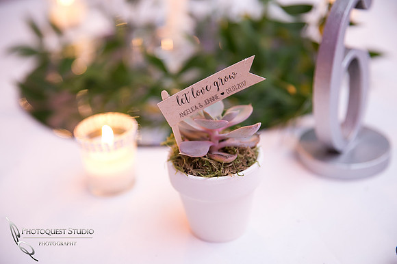 Pala Mesa Resort Wedding Photo by Temecula and Fallbrook Photographer, Angelica and Johnnie