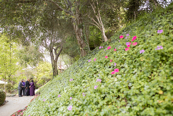 Temecula Wedding Photographer at Pala Mesa Resort, Fallbrook Wedding, Corrina & Bryan (227)
