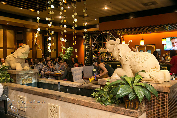 Aiyara Thai Cuisine 11th Years Anniversary Night by Photographer in Temecula
