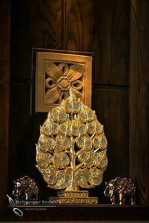 Aiyara Thai Cuisine 11th Years Anniversary Night by Photographer in Temecula