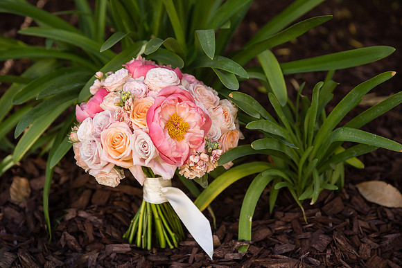 Temecula Winery Wedding Photographer, Europa Village, Fabiola & Scott (4)