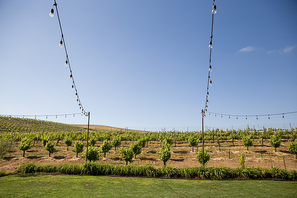 Temecula Winery Wedding Photographer, Europa Village, Fabiola & Scott (8)
