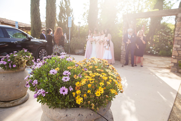 Temecula Winery Wedding Photographer, Europa Village, Fabiola & Scott (153)