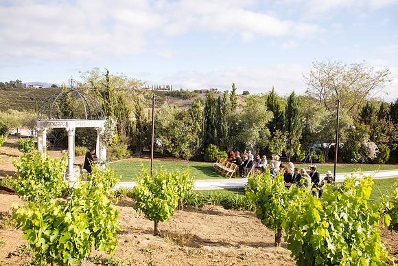 Temecula Winery Wedding Photographer, Europa Village, Fabiola & Scott (158)