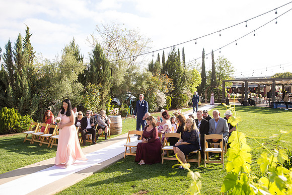 Temecula Winery Wedding Photographer, Europa Village, Fabiola & Scott (172)