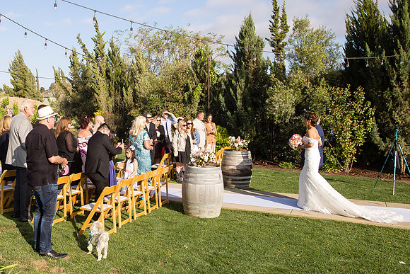 Temecula Winery Wedding Photographer, Europa Village, Fabiola & Scott (185)