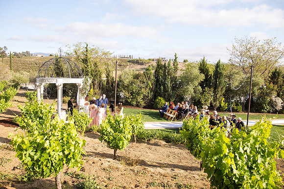 Temecula Winery Wedding Photographer, Europa Village, Fabiola & Scott (219)