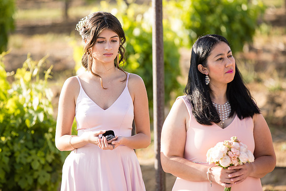 Temecula Winery Wedding Photographer, Europa Village, Fabiola & Scott (225)