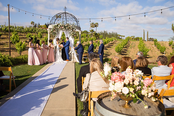 Temecula Winery Wedding Photographer, Europa Village, Fabiola & Scott (236)
