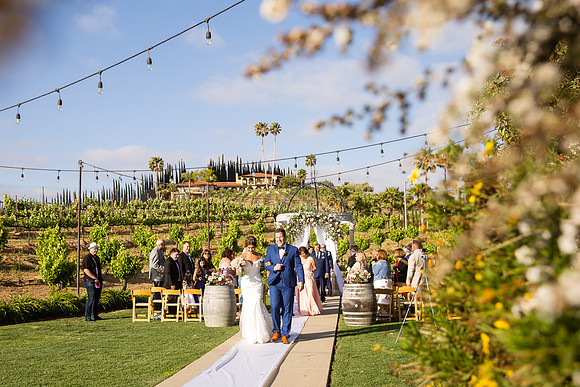 Temecula Winery Wedding Photographer, Europa Village, Fabiola & Scott (269)
