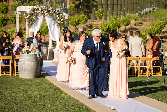 Temecula Winery Wedding Photographer, Europa Village, Fabiola & Scott (274)