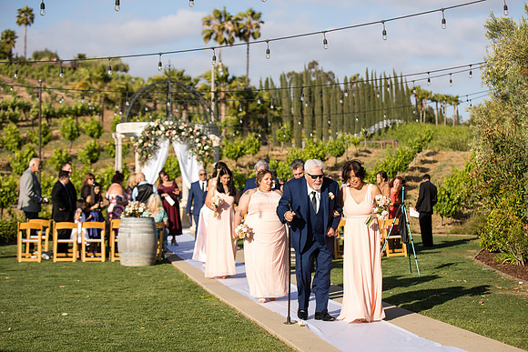 Temecula Winery Wedding Photographer, Europa Village, Fabiola & Scott (275)