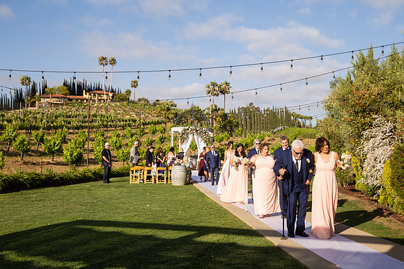 Temecula Winery Wedding Photographer, Europa Village, Fabiola & Scott (276)