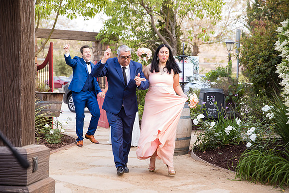 Temecula Winery Wedding Photographer, Europa Village, Fabiola & Scott (361)