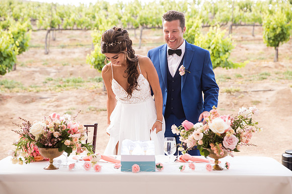 Temecula Winery Wedding Photographer, Europa Village, Fabiola & Scott (379)