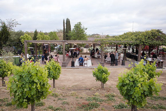 Temecula Winery Wedding Photographer, Europa Village, Fabiola & Scott (383)