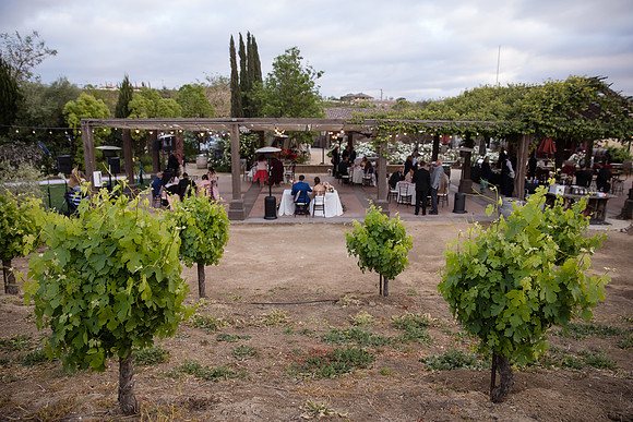 Temecula Winery Wedding Photographer, Europa Village, Fabiola & Scott (389)