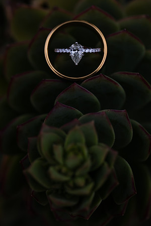 Temecula Winery Wedding Photographer, Europa Village, Fabiola & Scott (394)