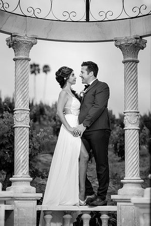 Temecula Winery Wedding Photographer, Europa Village, Fabiola & Scott (419)