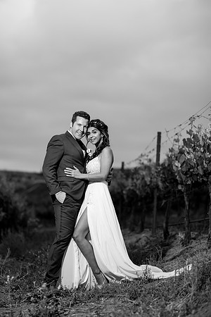 Temecula Winery Wedding Photographer, Europa Village, Fabiola & Scott (427)