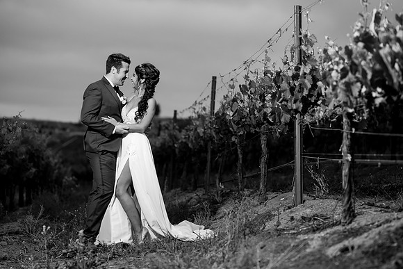 Temecula Winery Wedding Photographer, Europa Village, Fabiola & Scott (437)