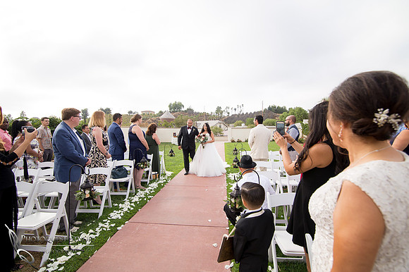 Wedding Photo at Leoness Cellars