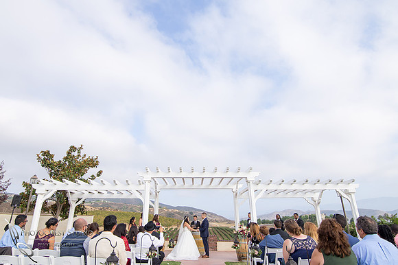 Wedding Photo at Leoness Cellars by Temecula Winery Photographer, Cynthia and Adam (33)