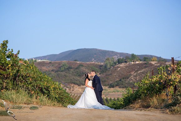 Wedding Photo at Leoness Cellars by Temecula Winery Photographer, Cynthia and Adam (45)