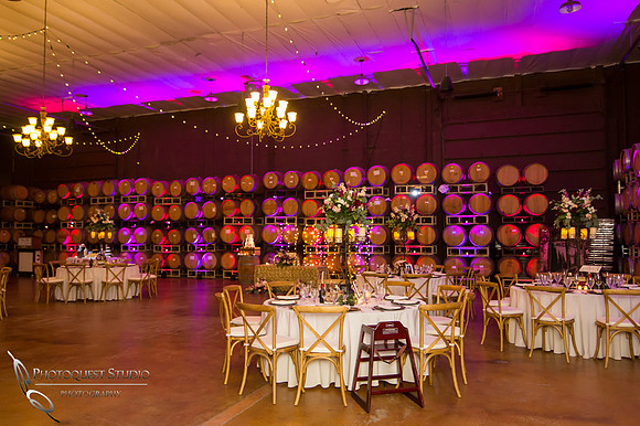 Wedding Photo at Leoness Cellars by Temecula Winery Photographer, Cynthia and Adam (50)
