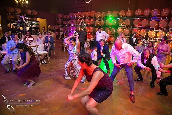 Wedding Photo at Leoness Cellars by Temecula Winery Photographer, Cynthia and Adam (72)