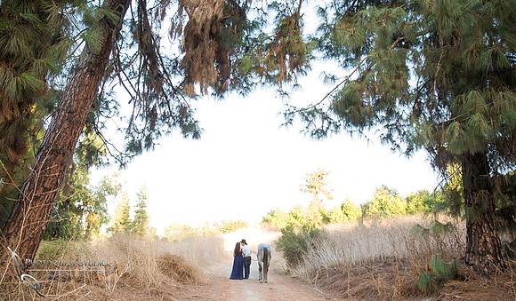 Maternity Photo with Horse by Temecula Wedding Photographer, Photoquest Studio, Photography at Frank G Bonelli Regional County Park, San Dimas, California.