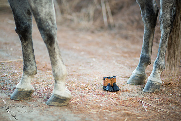 Maternity Photo with Horse by Temecula Photographer