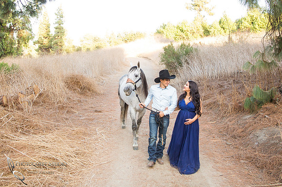 Maternity Photo with Horse by Photoquest Studio, Photography